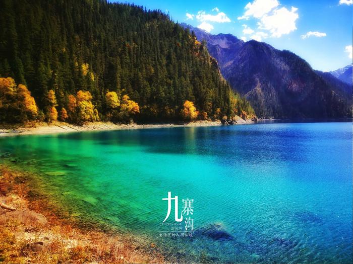 俗语为何讲“一家有女百家求，一马不行百马忧”，这句话是何意？游戏画面