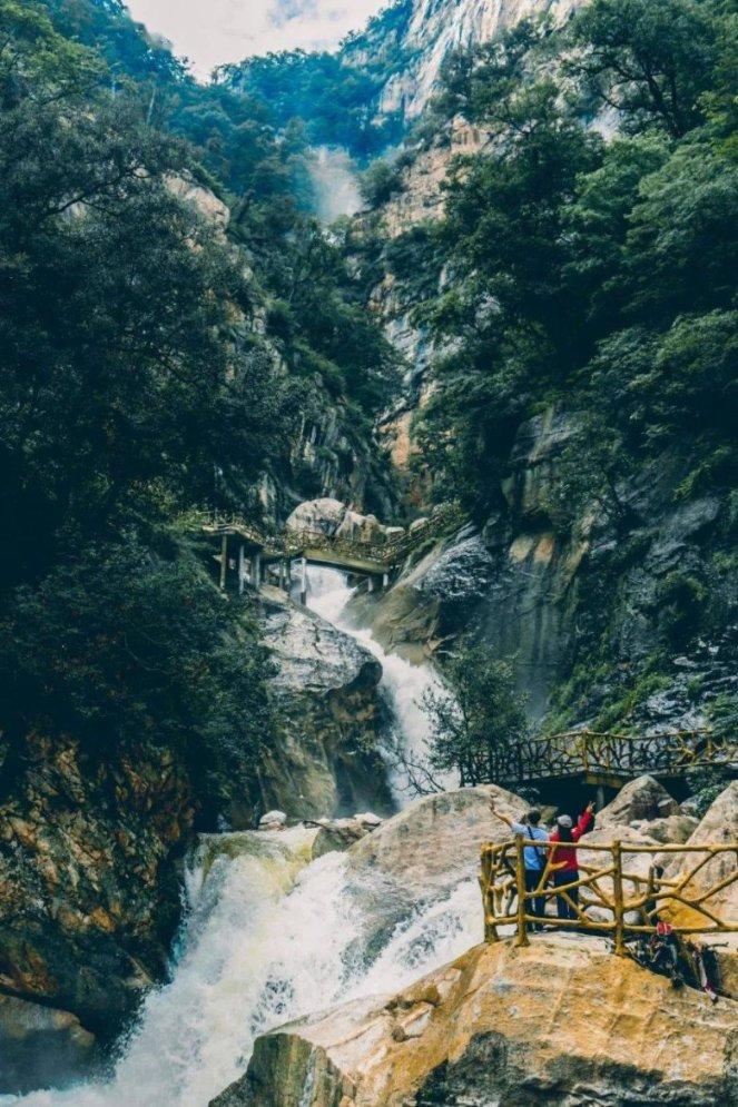寻找萌小老虎